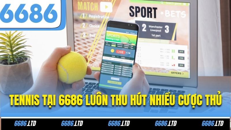 Tennis tại 6686 luôn thu hút nhiều cược thủ